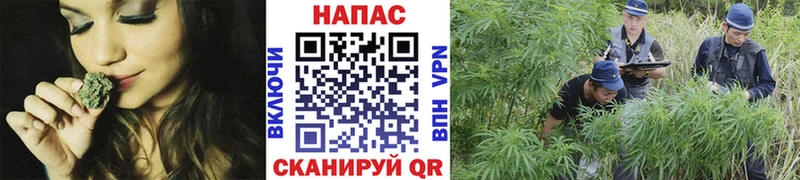 Конопля VHQ  закладка  Пошехонье 